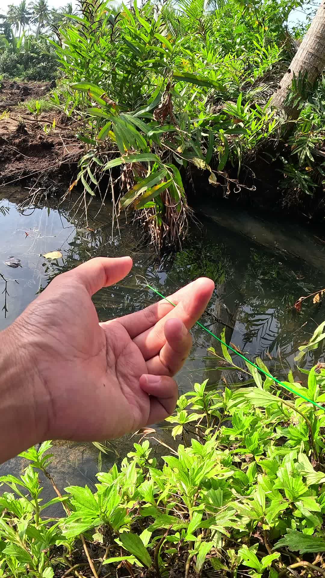 cara yg sangat unik #udang #nelayan #laut #jaring #ikan #fbpro #reels #reelsviral #duniaikan #skills #fyp #trending