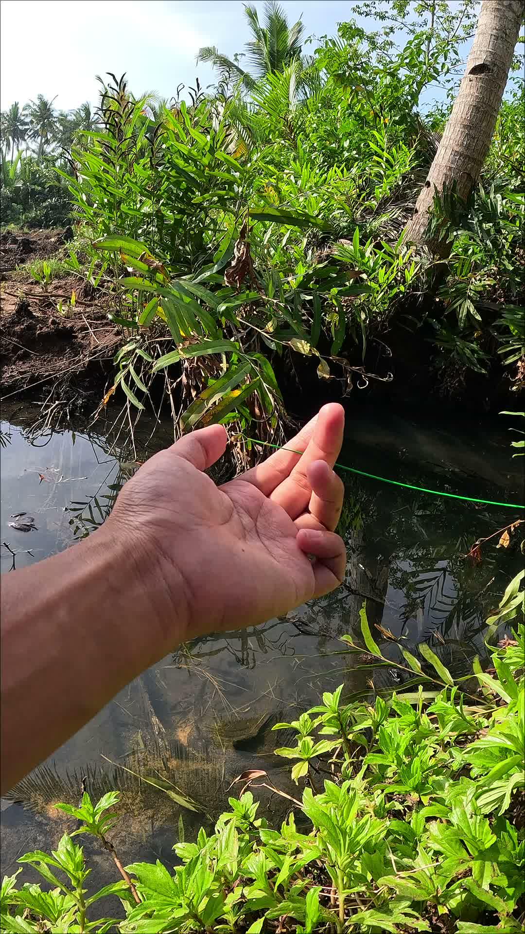 udang sungai🦐 #fishing #traditional #usa #usareels #UnitedStates #unitedkingdom #denmark #canada