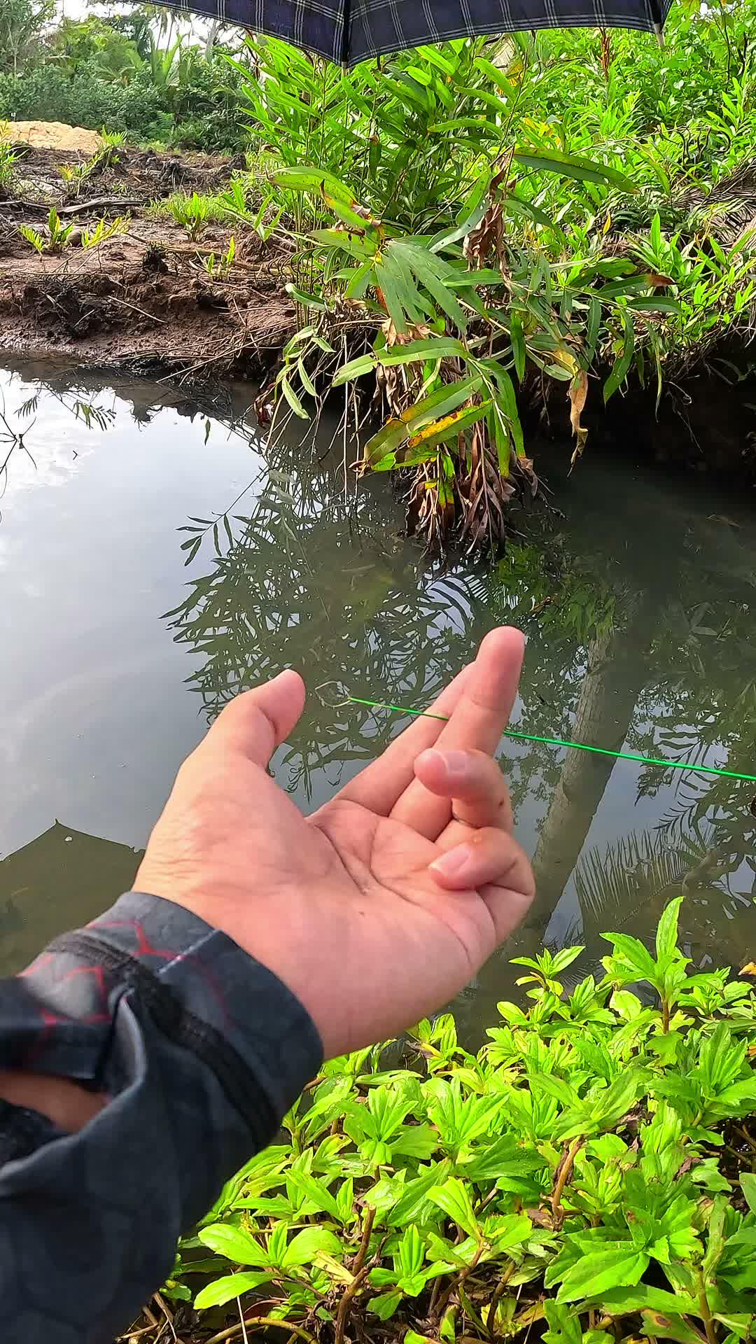 tutorial menangkap udang #udang #nelayan #laut #jaring #ikan #fbpro #reels #reelsviral #duniaikan #skills #fyp #trending