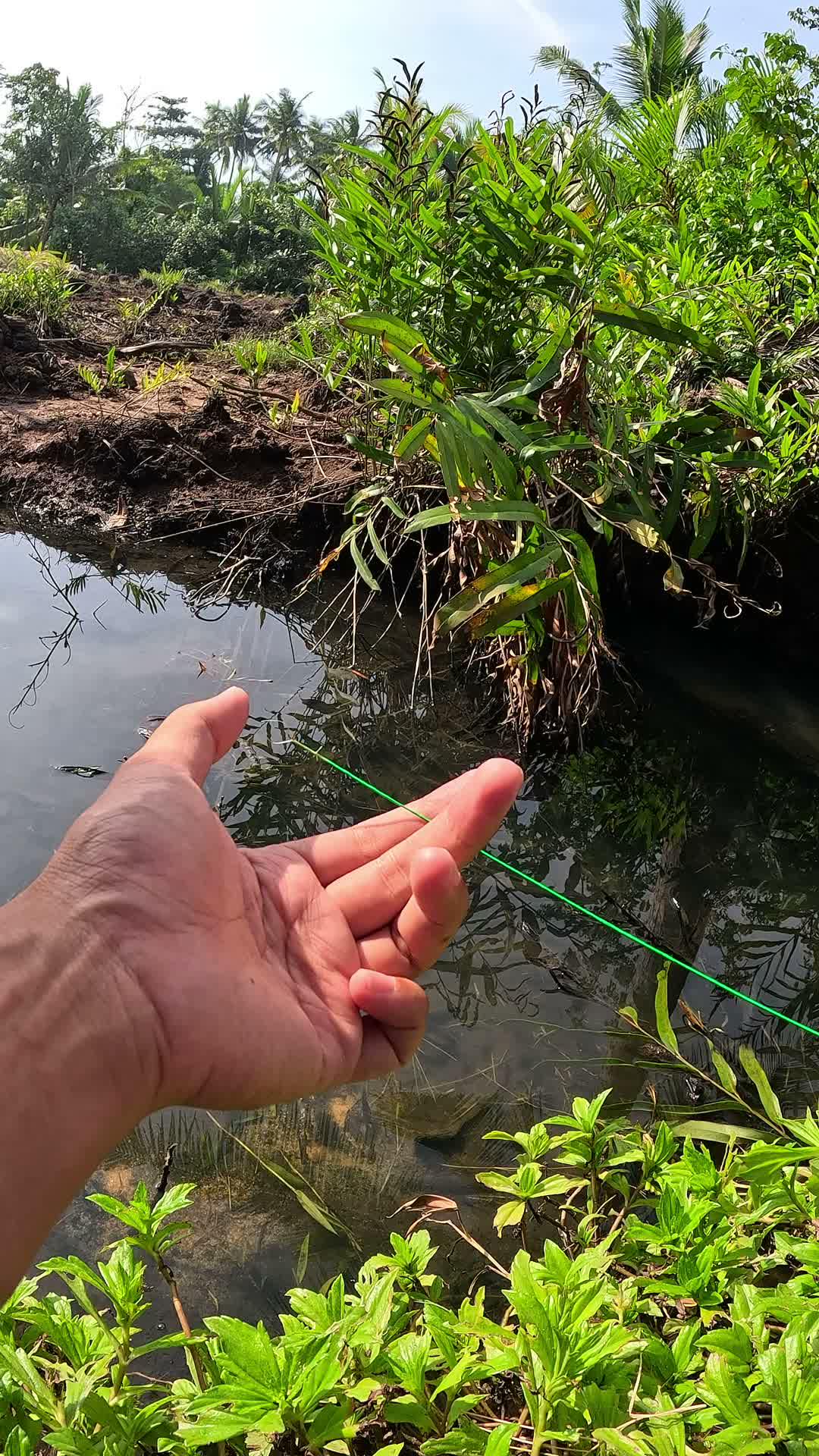 tutorial nangkap udang sungai #mancing #fishing #shrimp #udang #nelayan #laut #jaring #ikan #reelsviral #animals #skill #fyp #trending