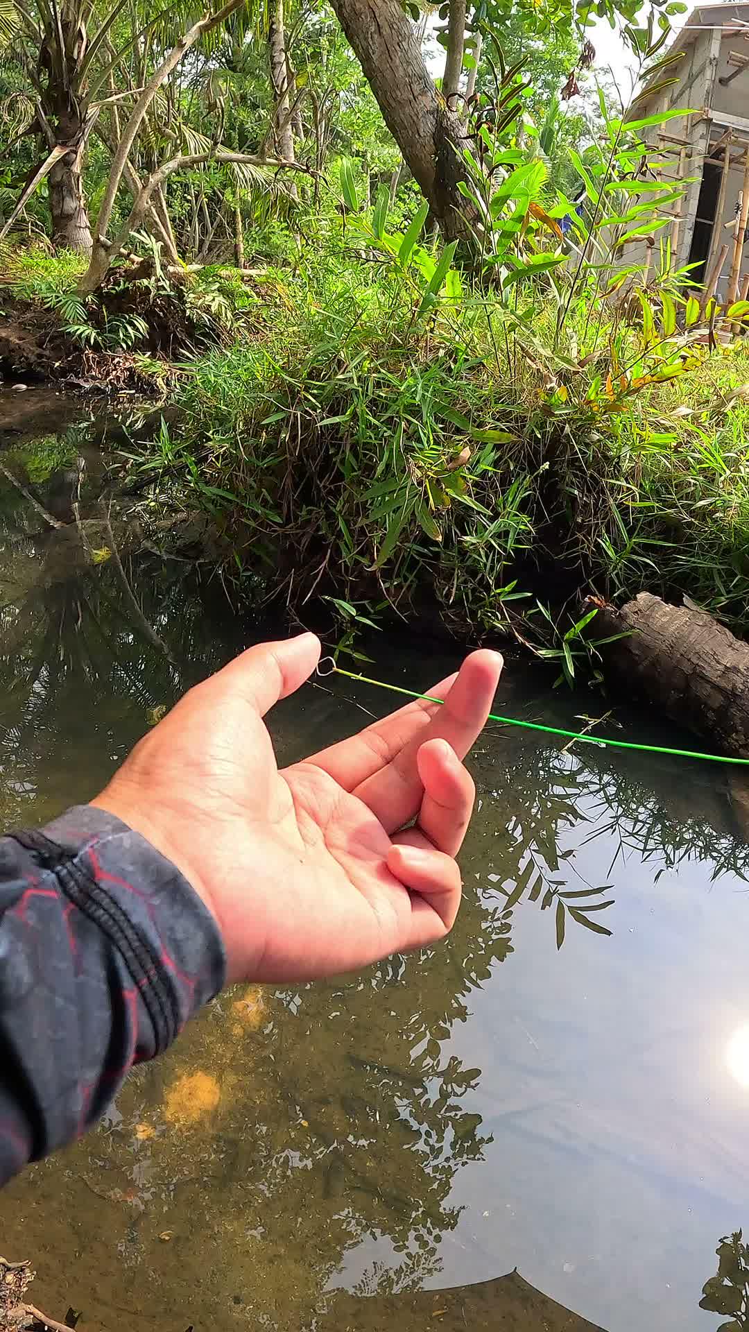 aku tau kelemahan udang #udang #nelayan #laut #jaring #ikan #fbpro #reels #reelsviral #duniaikan #skills #fyp #trending