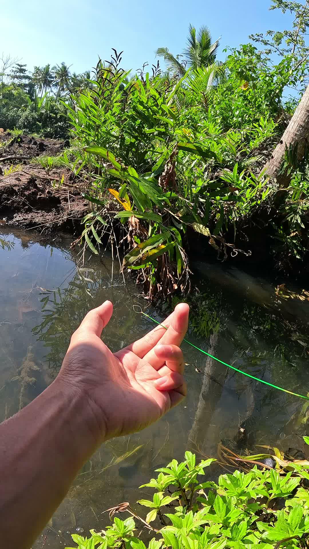 traditional shrimp fishing gear #fishing #traditional #usa #usareels #UnitedStates #unitedkingdom #denmark #canada
