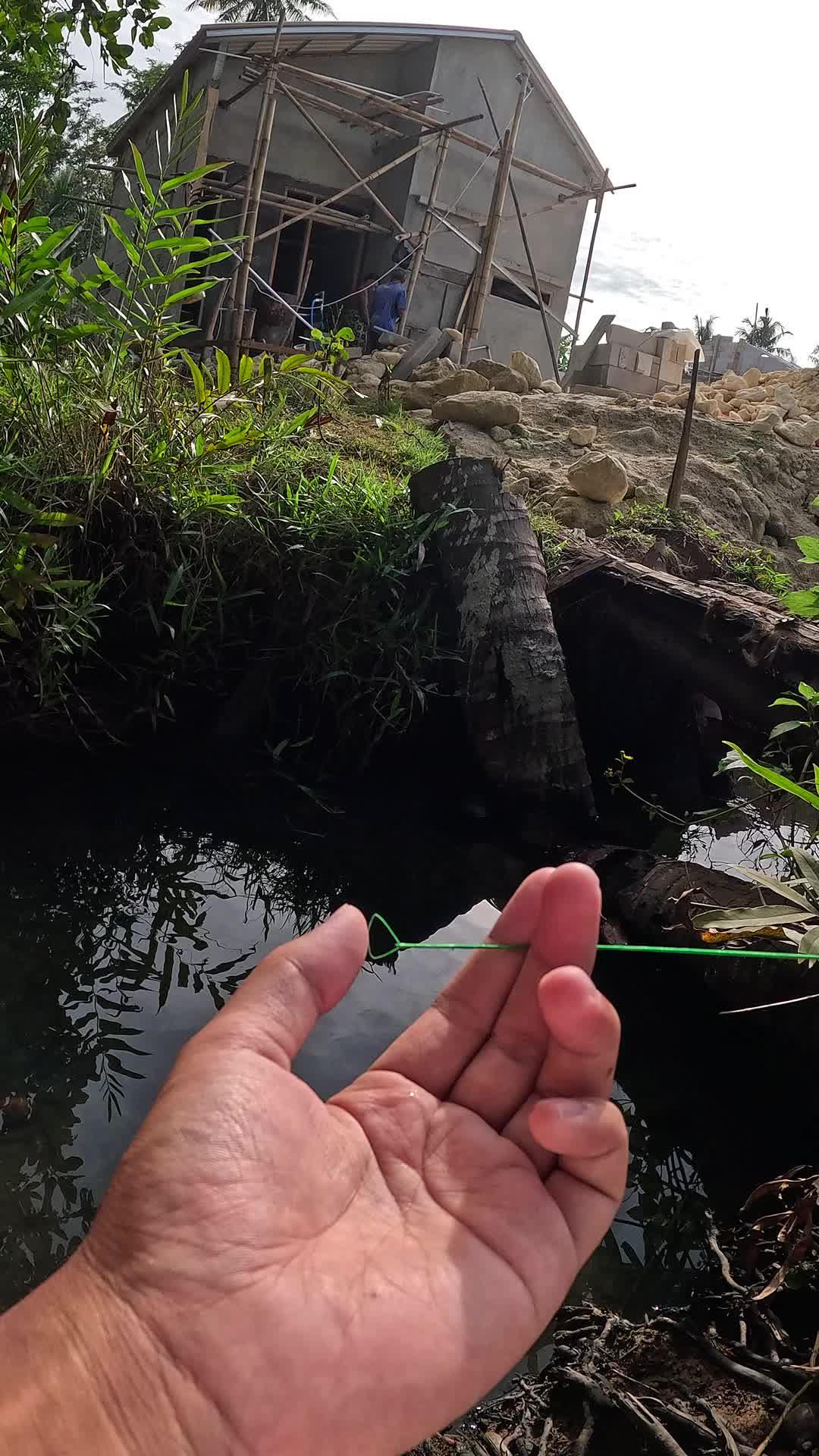 high level shrimp catching skills