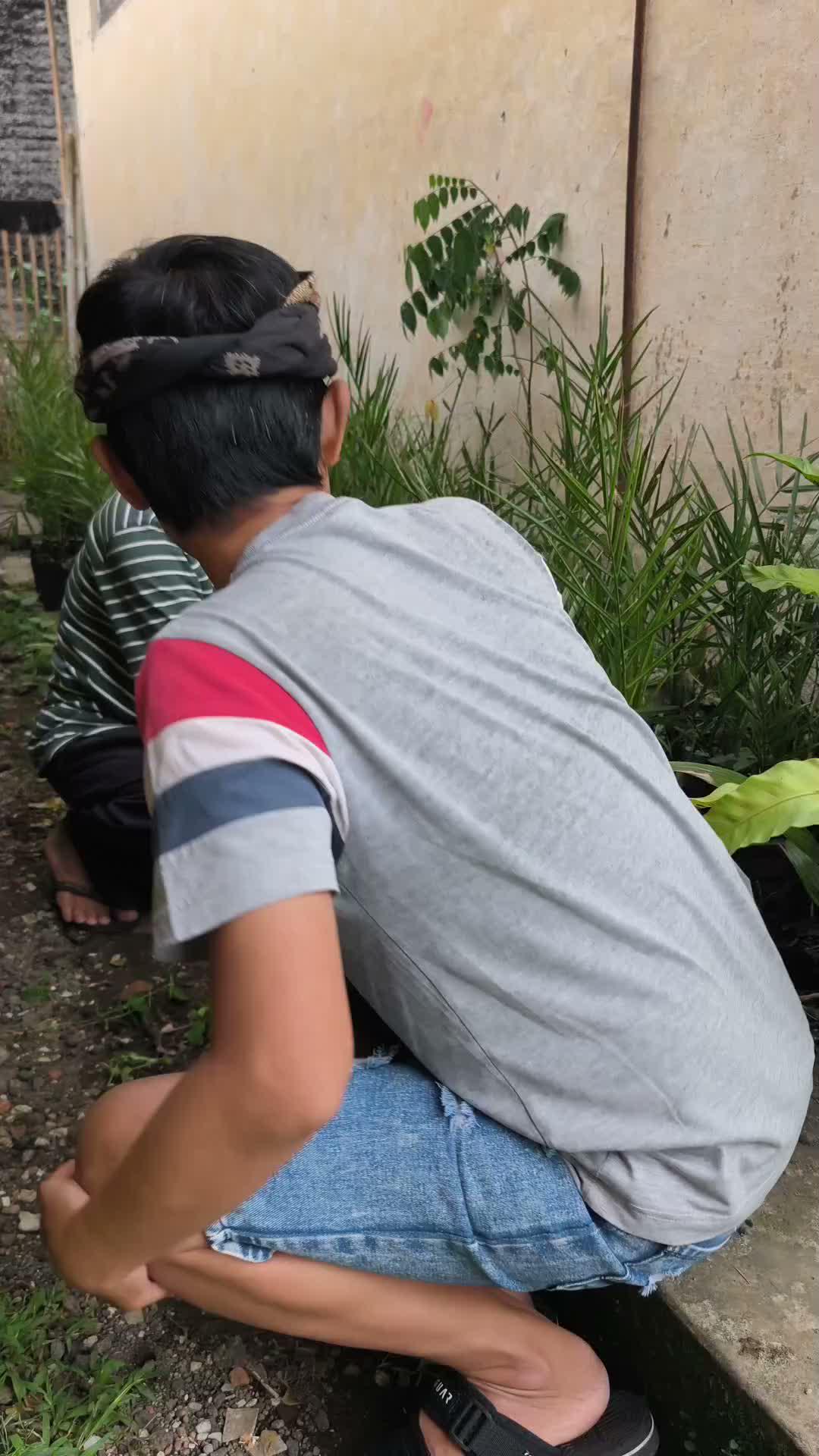 Paket Rok  #komedi #RCTIPlus 