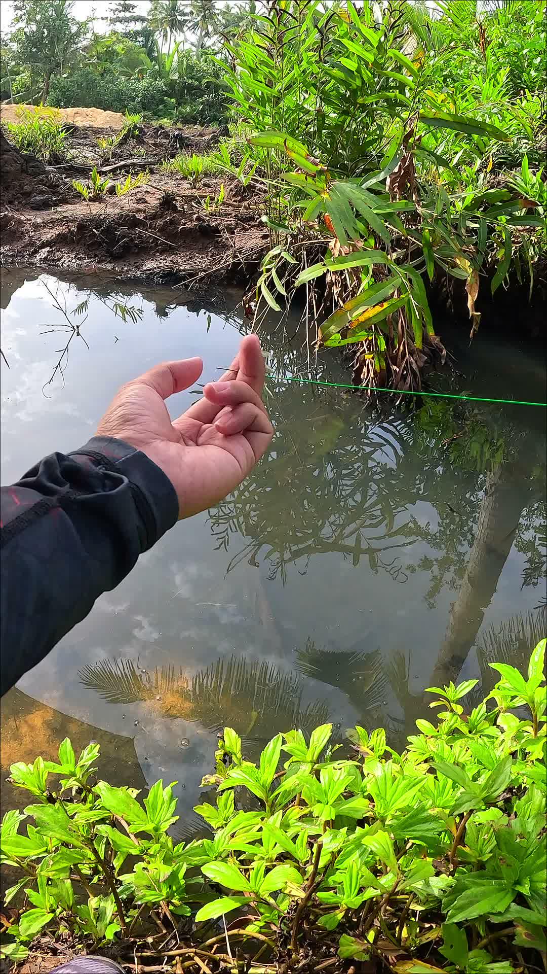 wow sangat gacor ketua #mancing #fishing #shrimp #udang #nelayan #laut #jaring #ikan #reelsviral #animals #skill #fyp #trending