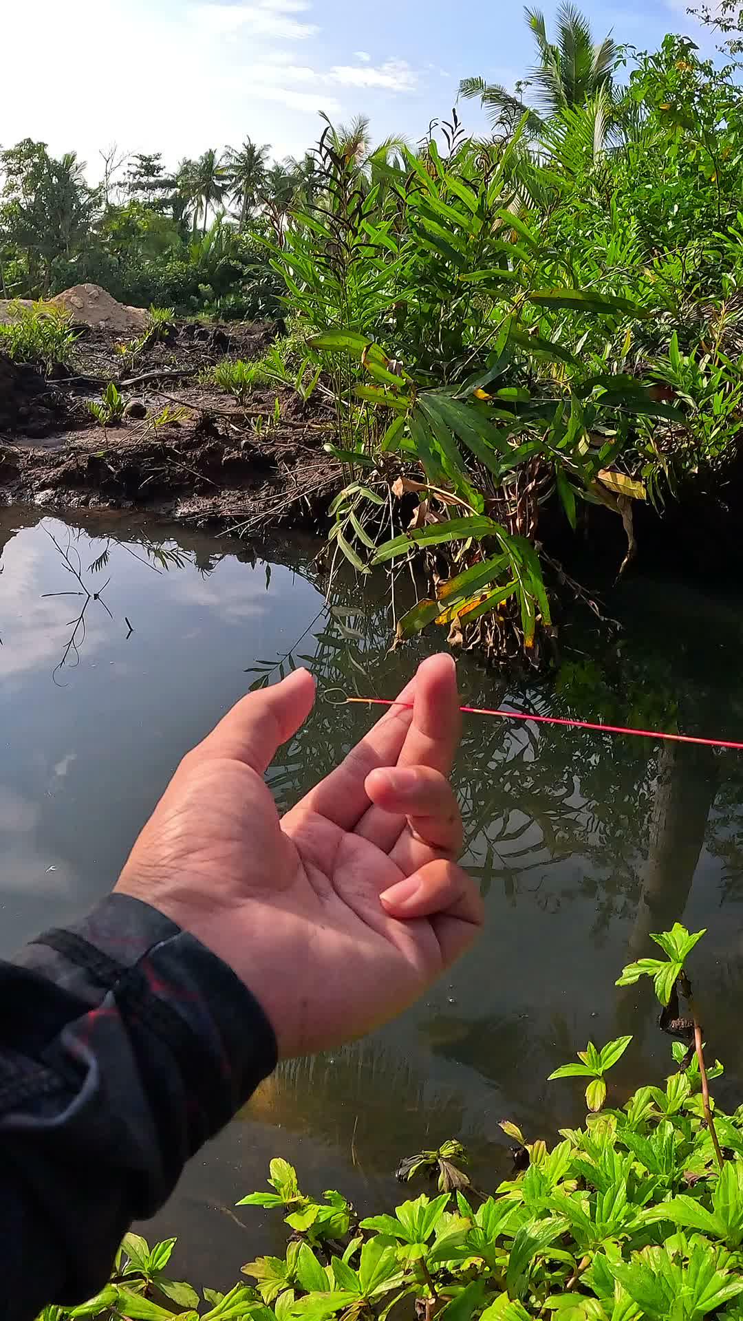 catch hiding shrimp #fishing #shrimp #fish #sea #traditional #usareels #UnitedStates #reelsviral #skils #fyp #trending
