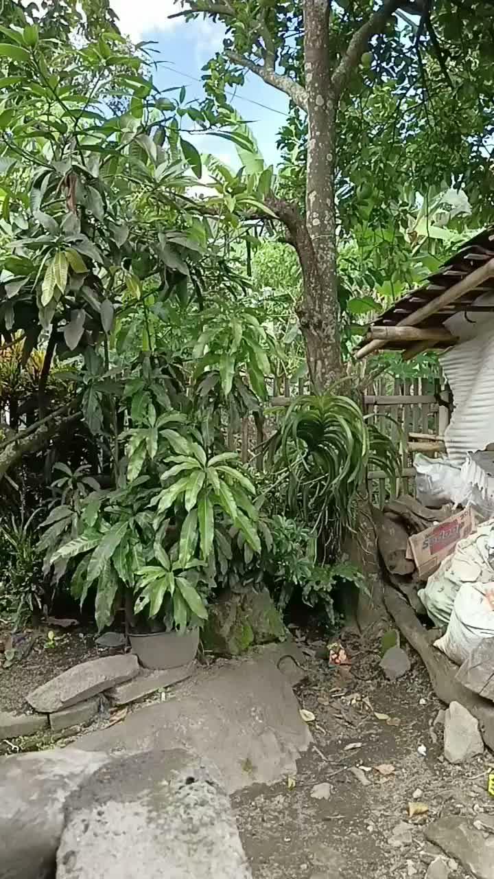 untuk bukan si abah nu ti gulutuk na 😂
 #short  #HOTrctiplus  #RCTIPlus  #fyp  #komedi 