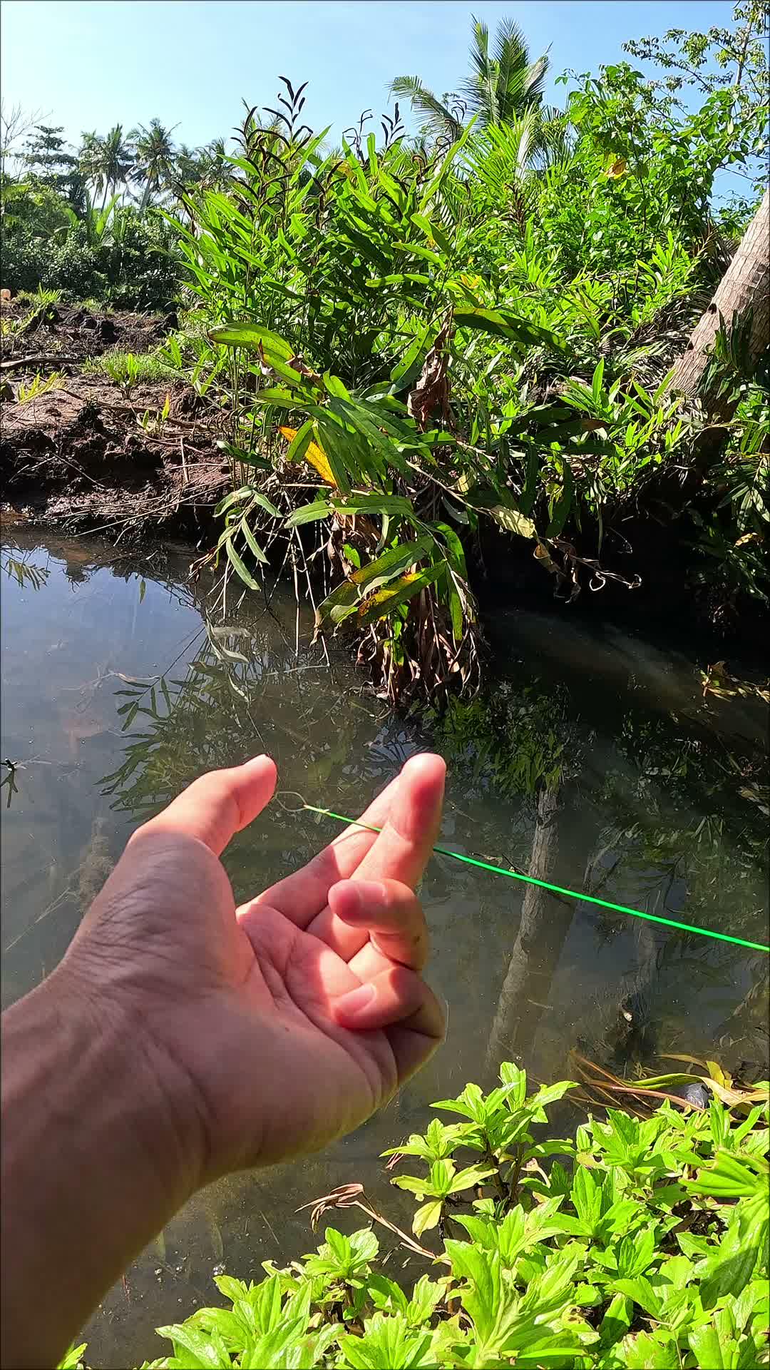 menangkap banyak udang setiap hari