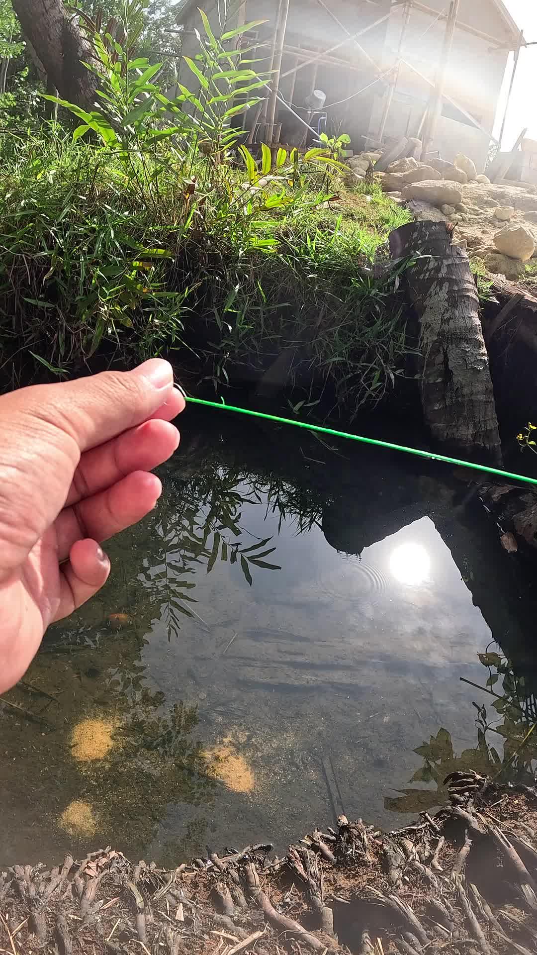 using traditional methods #fishing #shrimp #fish #sea #traditional #usareels #UnitedStates #reelsviral #skils #fyp #trending