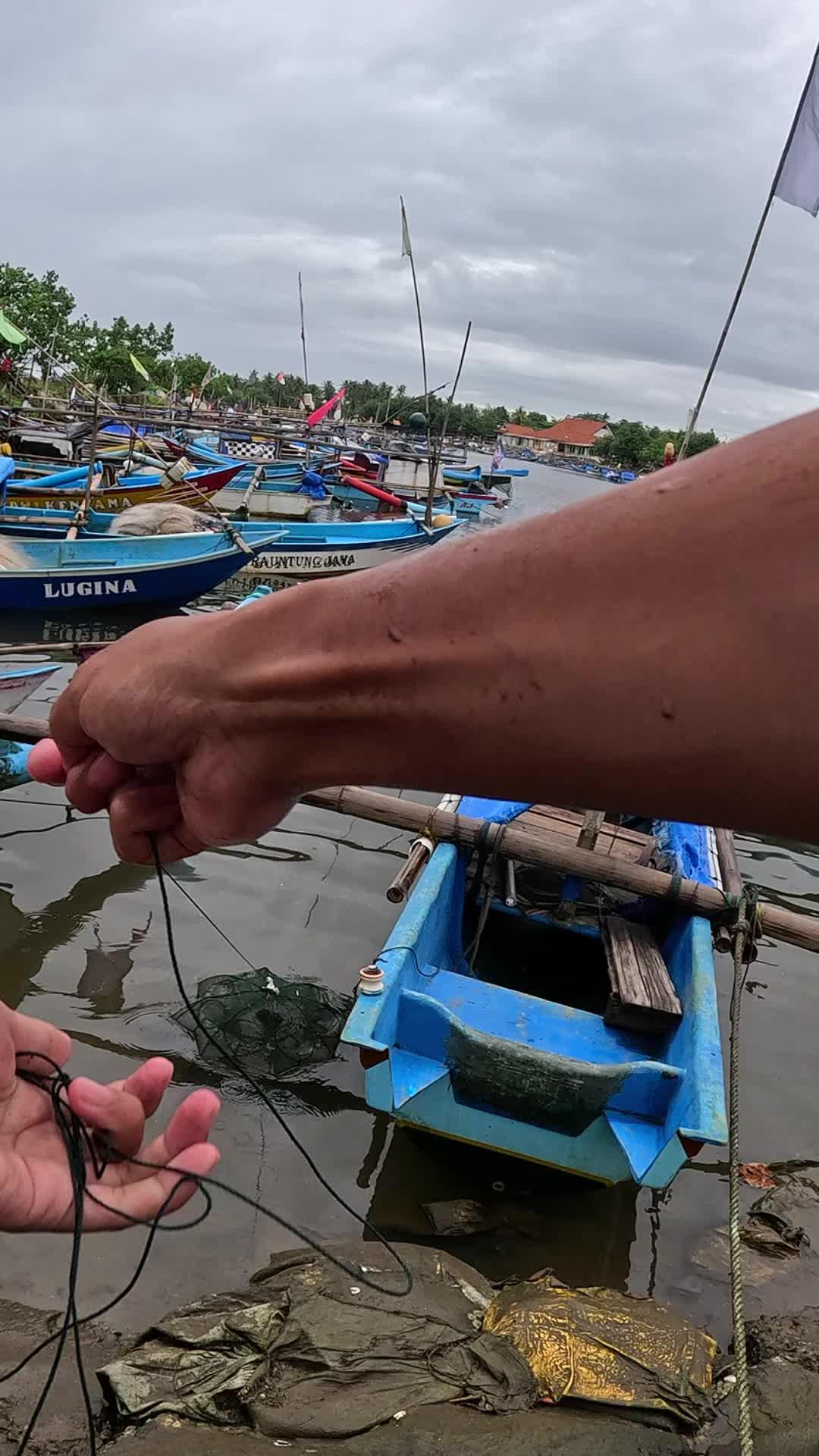 menangkap udang tanpa ribet tapi hasilnya banyak