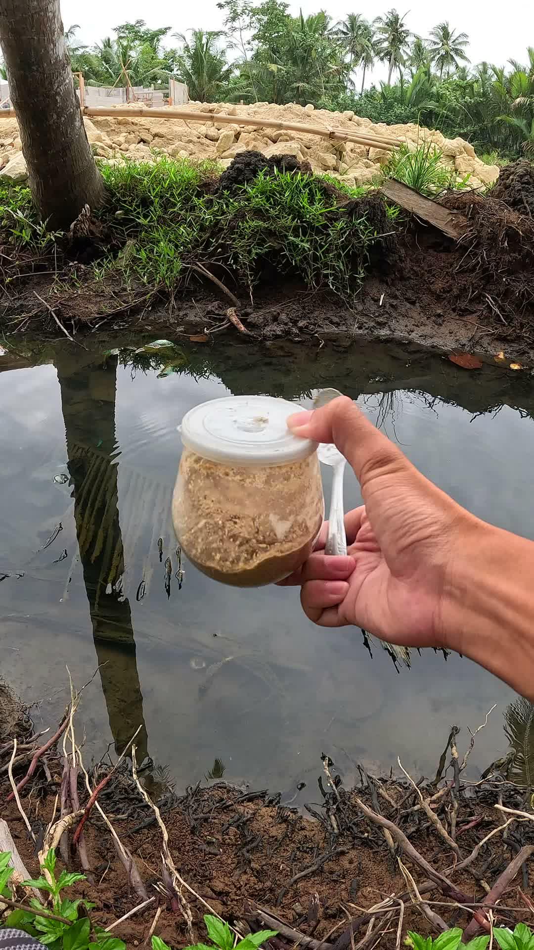 catch shrimp easily #fishing #traditional #usa #usareels #UnitedStates #unitedkingdom #denmark #canada