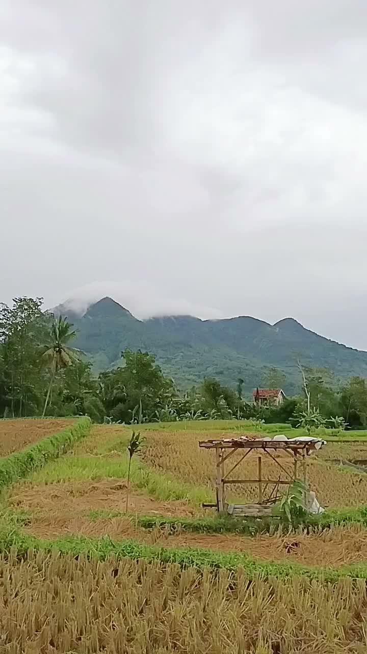 MasyaAllah  #short  #HOTrctiplus 