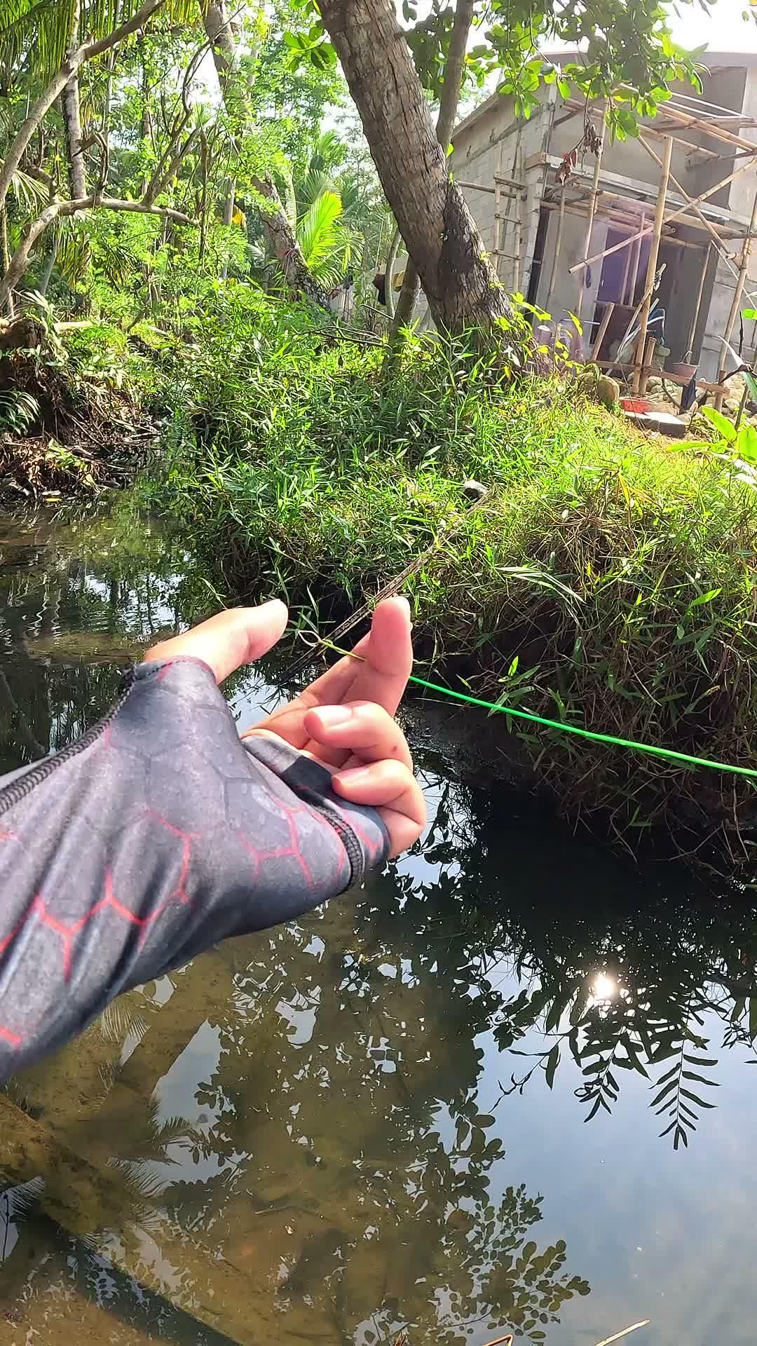 teknik gacor buat nangkap udang #mancing #fishing #shrimp #udang #nelayan #laut #jaring #ikan #reelsviral #animals #skill #fyp #trending