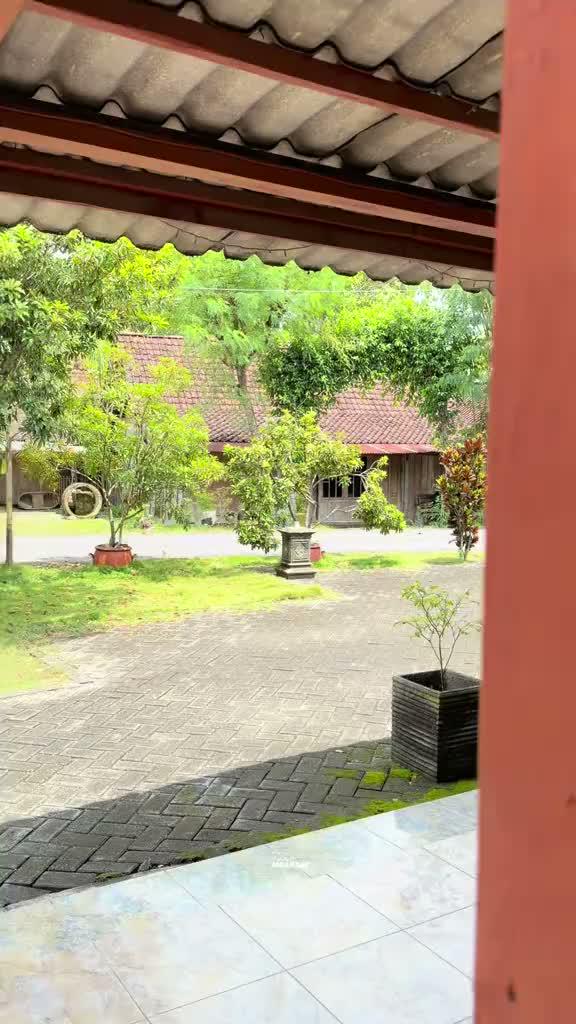 Tak kasih rekomendasi deodoran viral yg baunya awet banget lur #rekomendasi #deodorant  #khaf  #virall 