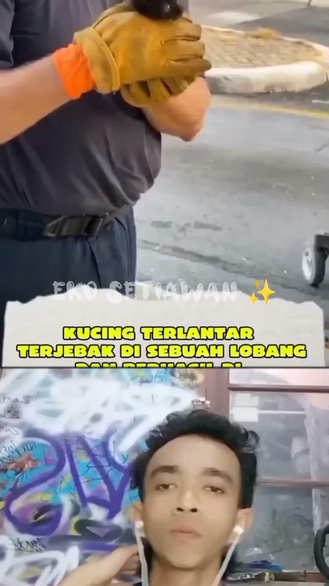 seekor kucing kecil terjebak di dalam lubang.untungnya datang penyelamat??