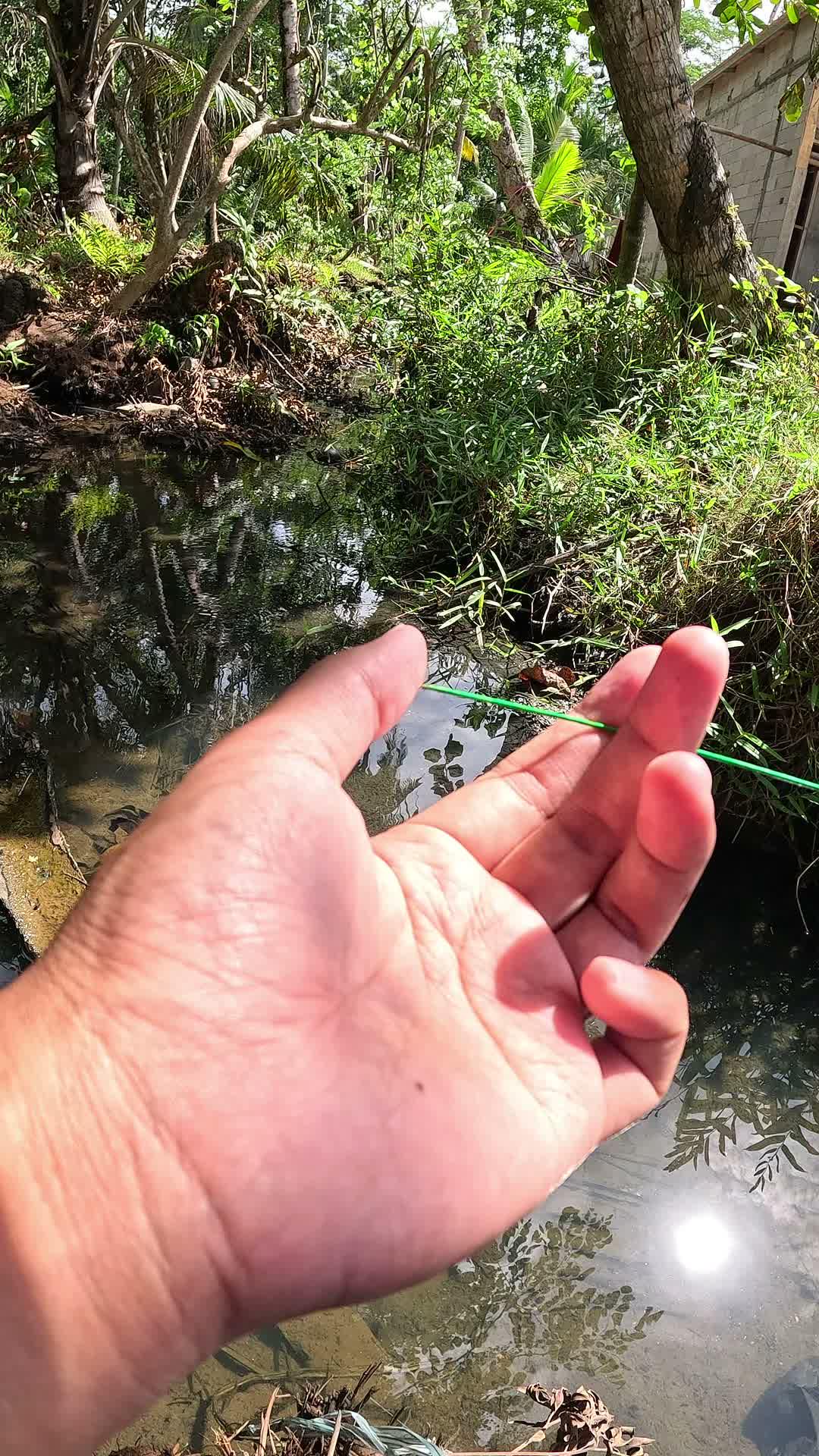 tips dan trik memancing 