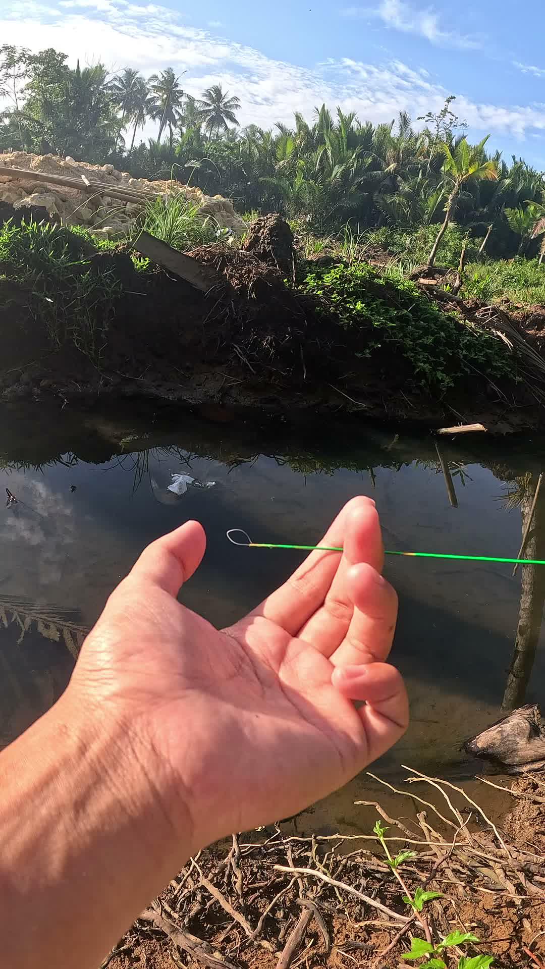 how to catch #fishing #traditional #usa #usareels #UnitedStates #unitedkingdom #denmark #canada