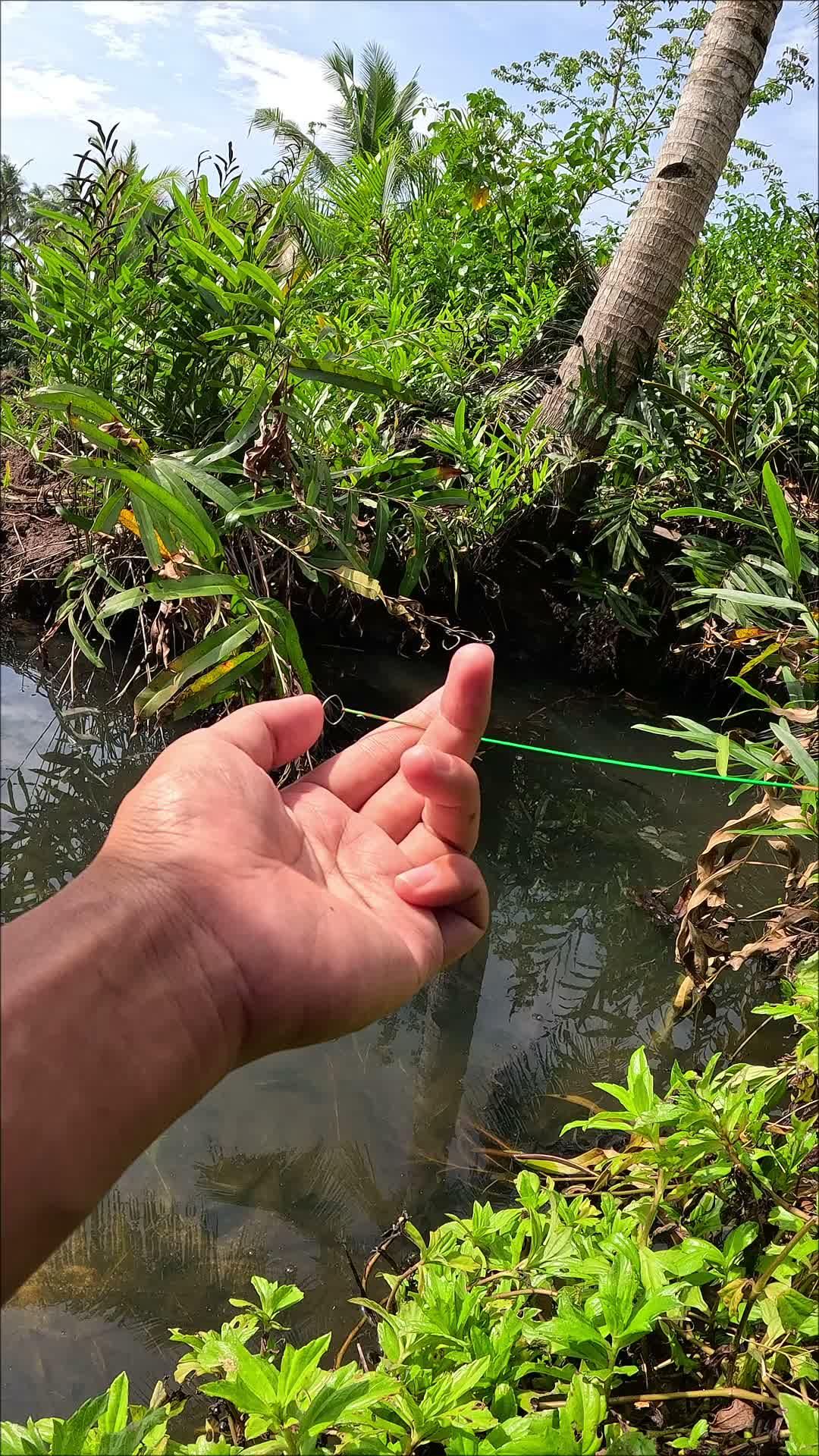 tutorial menangkap udang dengan gampang