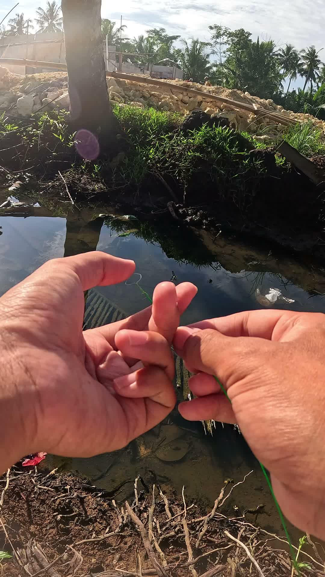 catching shrimp in the ditch #fishing #traditional #usa #usareels #UnitedStates #unitedkingdom #denmark #canada