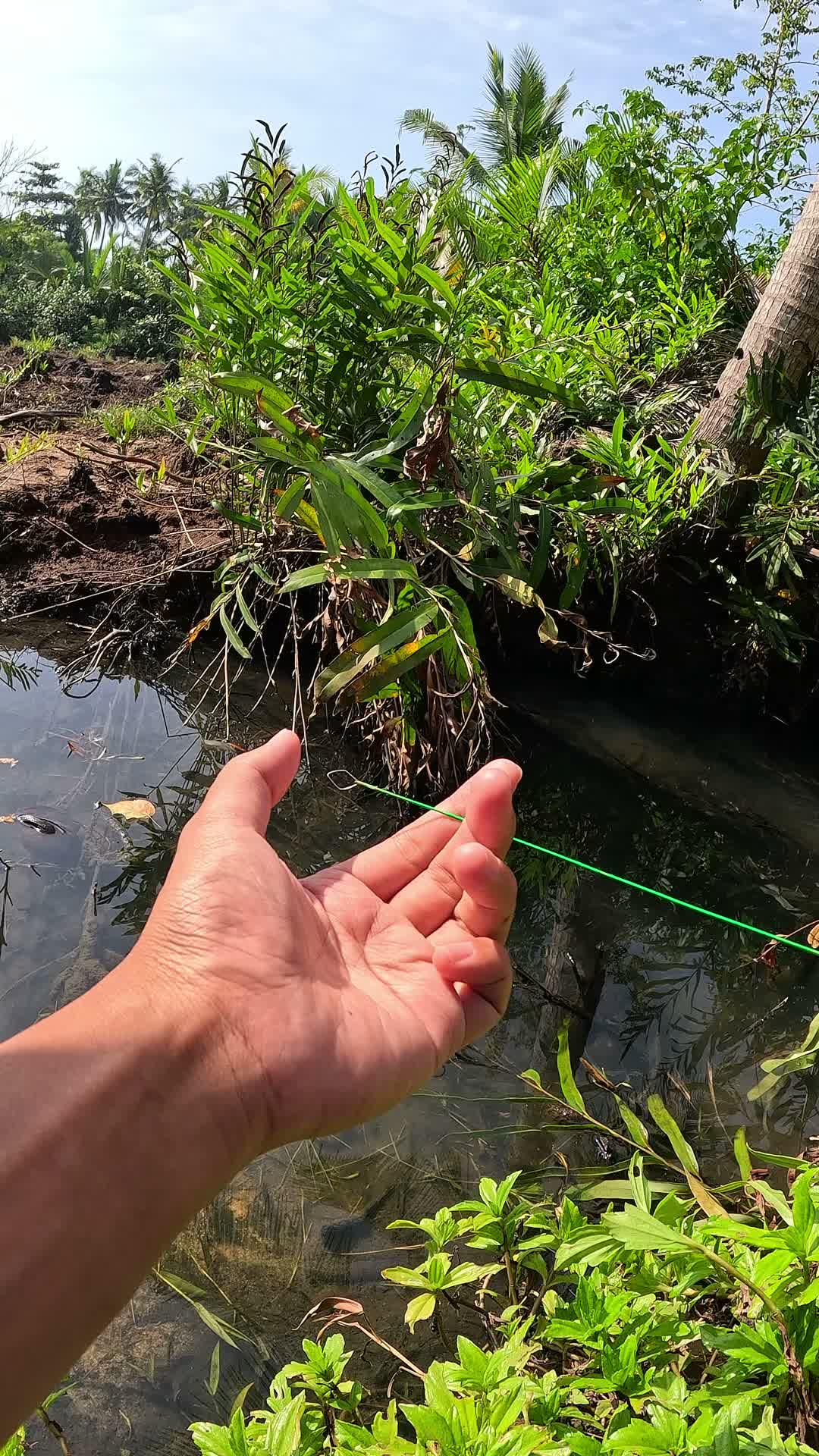 segampang itu #fishing #shrimp #fish #sea #traditional #usareels #UnitedStates #reelsviral #skils #fyp #trending