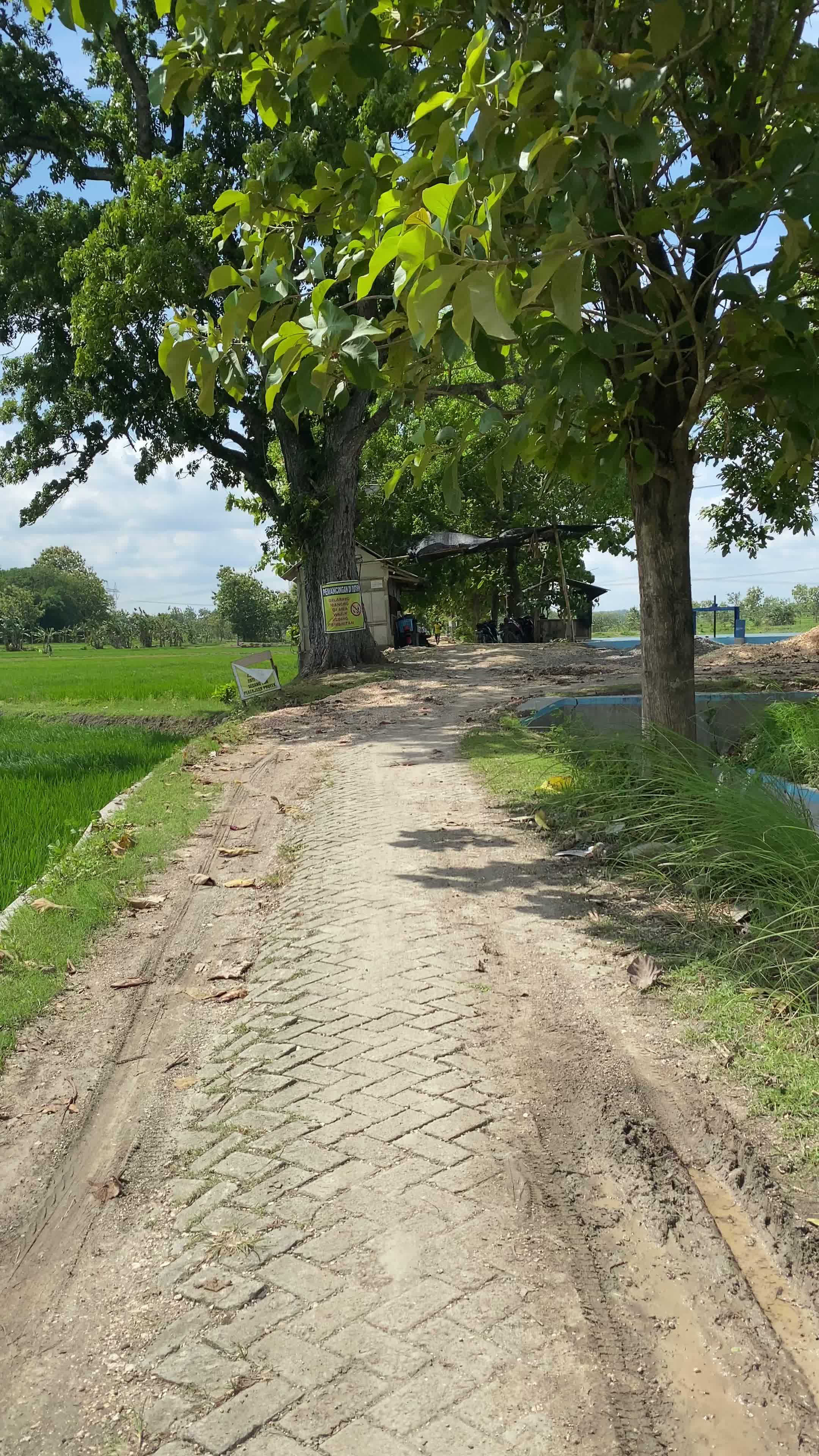 Rowo Glandang jan syahdu banget #waduk #rowoglandang #desaku #tambakrejo #bojonegoro #viral #fyp 