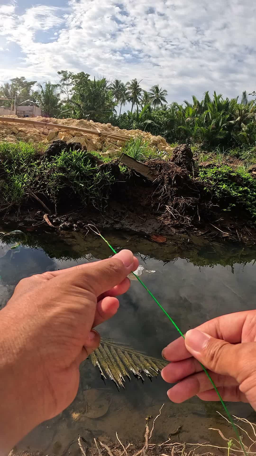 unique way to catch shrimp #fishing #traditional #usa #usareels #UnitedStates #unitedkingdom #denmark #canada