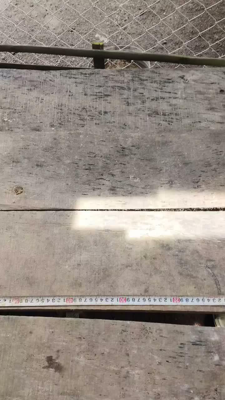 Yang Baru Tau, jadi peternak spek hobi setiap pertumbuhan ada yang namanya ukur panjang tetap tenang dilakukan pelan dan aman tidak menyakit