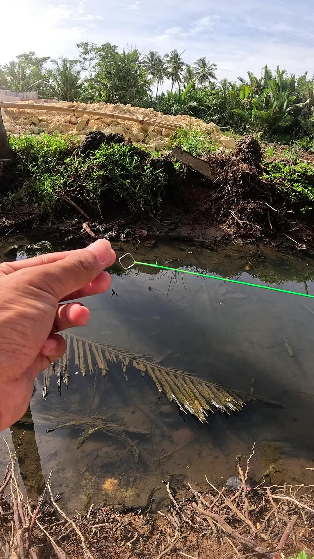 setiap hari saya mancing udang