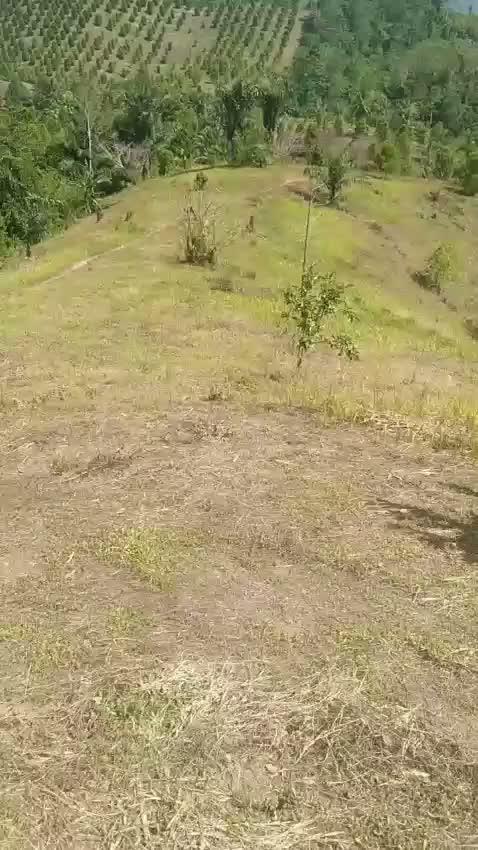 suasana di pegunungan #moment 