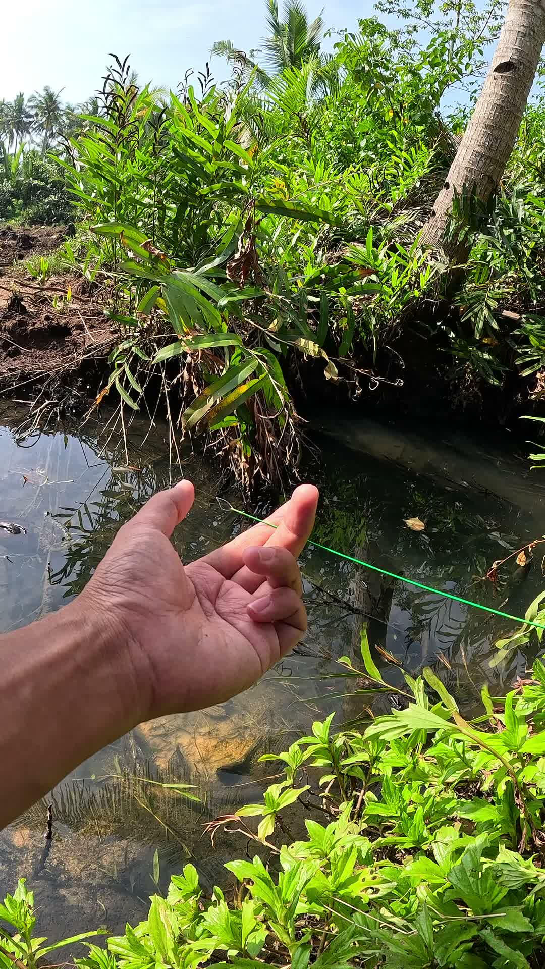 there are shrimps hiding #fishing #traditional #usa #usareels #UnitedStates #unitedkingdom #denmark #canada