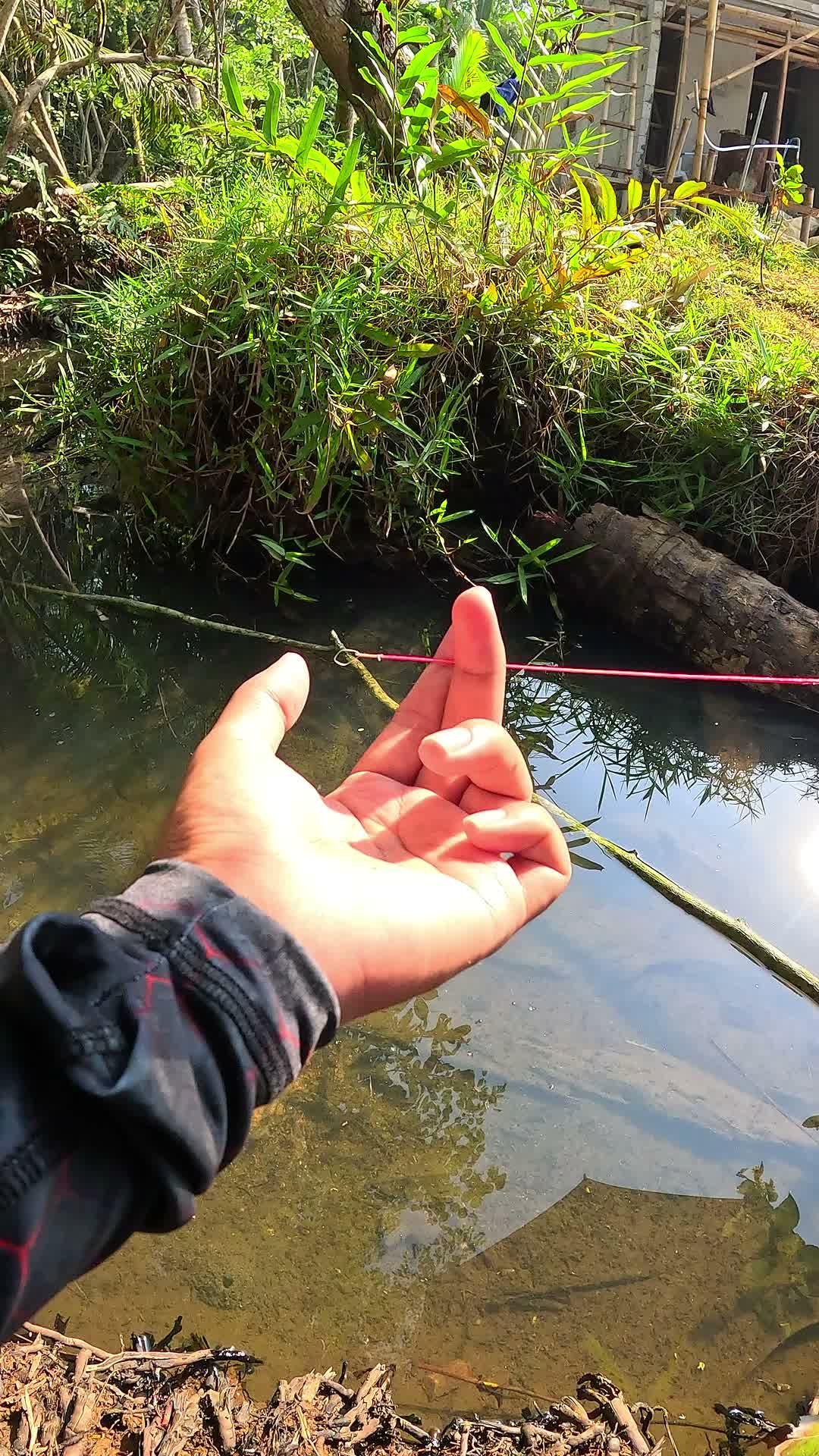 easy tutorial for catching shrimp #fishing #shrimp #fish #sea #traditional #usareels #UnitedStates #reelsviral #skils #fyp #trending