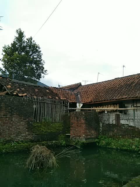 mancing dulu lur  #short  #fyp 