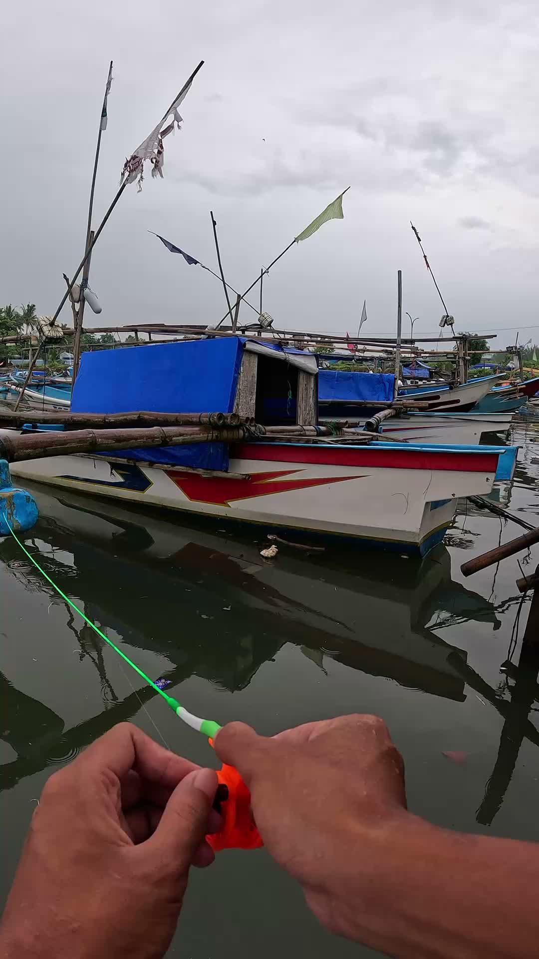 my favorite green fishing rod #fishing #micro #microfishing #usa #usareels #UnitedStates #unitedkingdom #denmark #canada