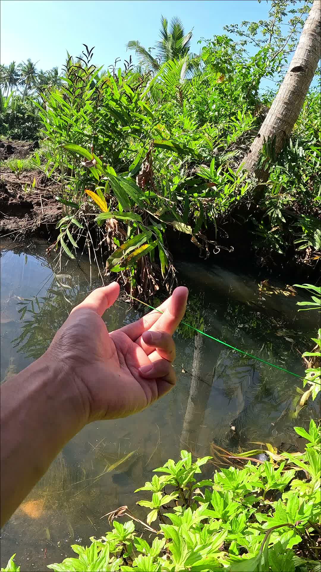 teknik menangkap udang tingkat tinggi #fishing #traditional #usa #usareels #UnitedStates #unitedkingdom #denmark #canada