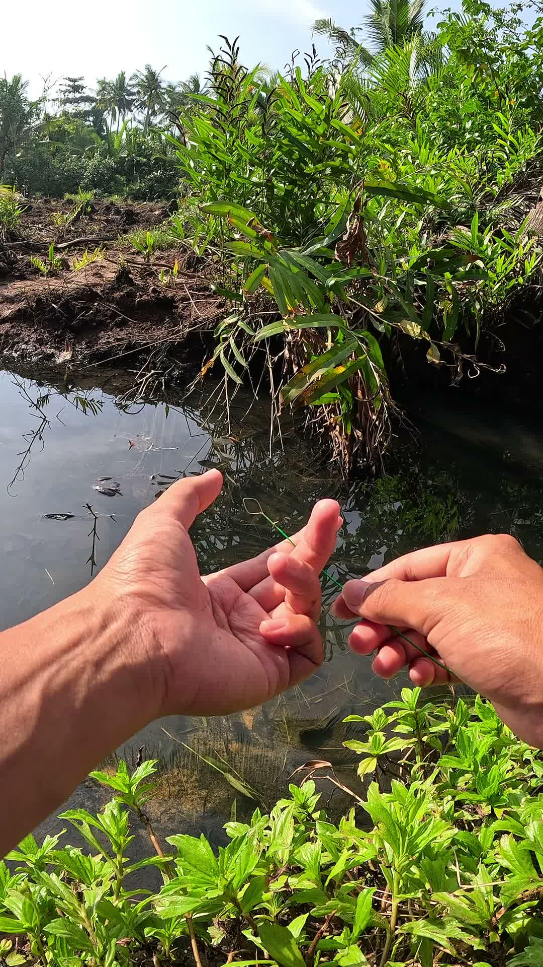 very unique way of catching #fishing #traditional #usa #usareels #UnitedStates #unitedkingdom #denmark #canada