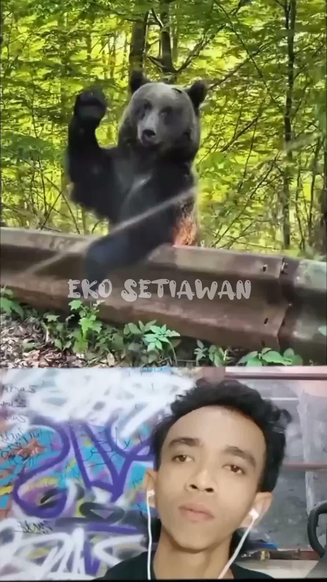 seekor beruang melambaikan tangan ke seorang pria untuk meminta bantuan ?