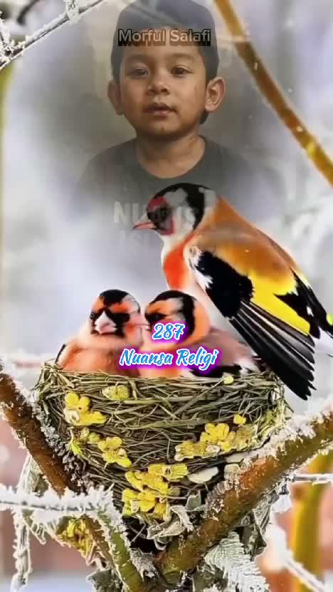 Allah bisa mema'afkan seribu kesalahan..✅
#motivasihidup #nasehatislami #dakwah #shorts