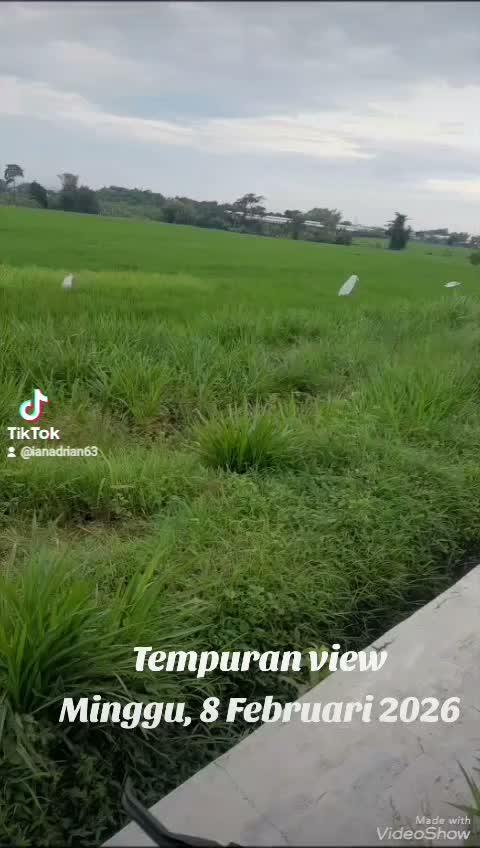 Bersepeda Hari Minggu