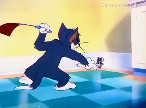 TOM AND JERRY 😍😍