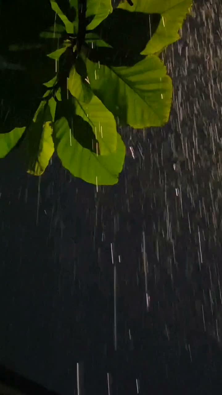 Rain