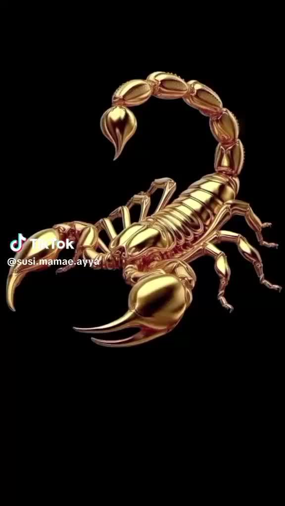  #DMD Panggung Rezeki 