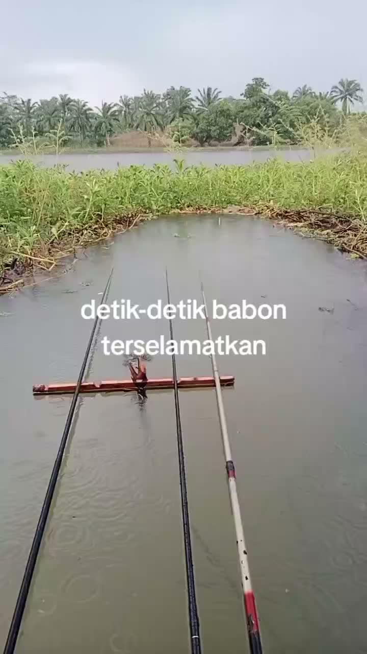 spot gacor.... ... 
 #RCTIPlus  #HOTrctiplus 
 #RCTIoke  #rctipluschallenge  #RCTIPlusTanpaBatasWaktuCover 