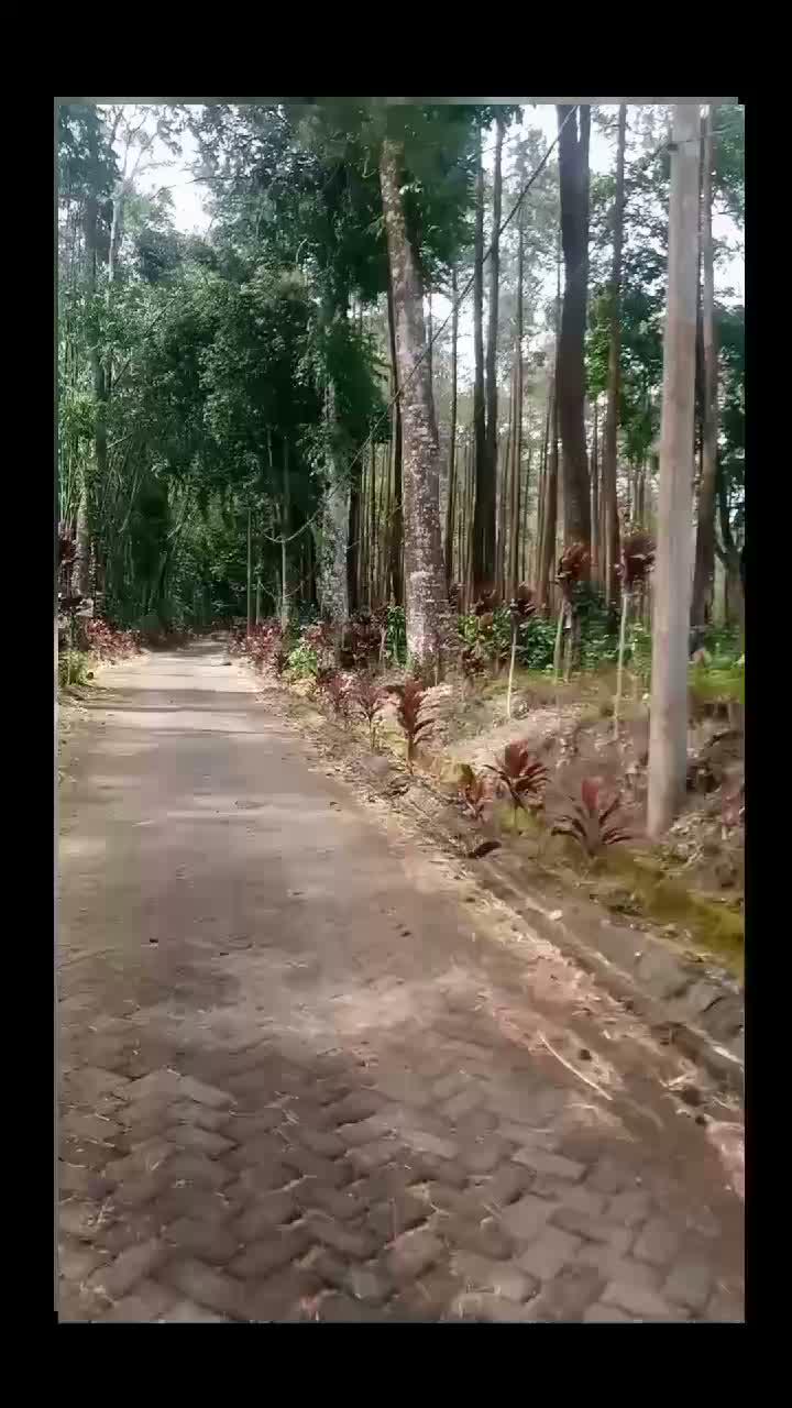 #bersambung setelah lebaran ...