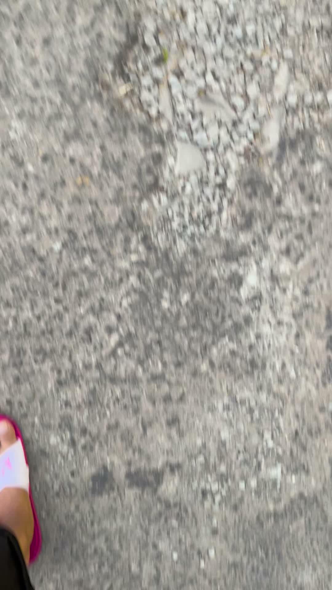 swiss nya indonesia ada di waduk jatiluhur😍  #jatiluhur  #foryou  #RCTIPlus  #wadukjatiluhur  #Purwakarta 