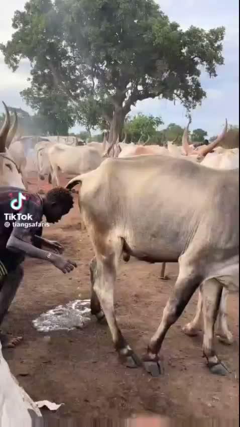 Cara membatalkan pinjaman (Finplus) Kamu bisa menghubungi layanan Live Chat via telepon :08137072631atau 085880307752. jelaskan dengan baik 