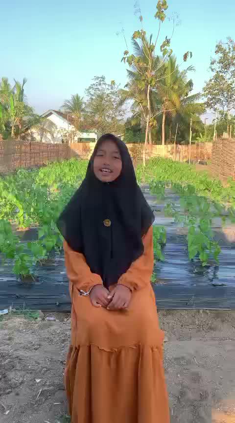 HAFIZ2027 SOFIL WIDAD LOMBOK NTB 10 TAHUN 7 JUZ